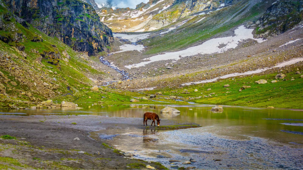 Hampta Pass Trek